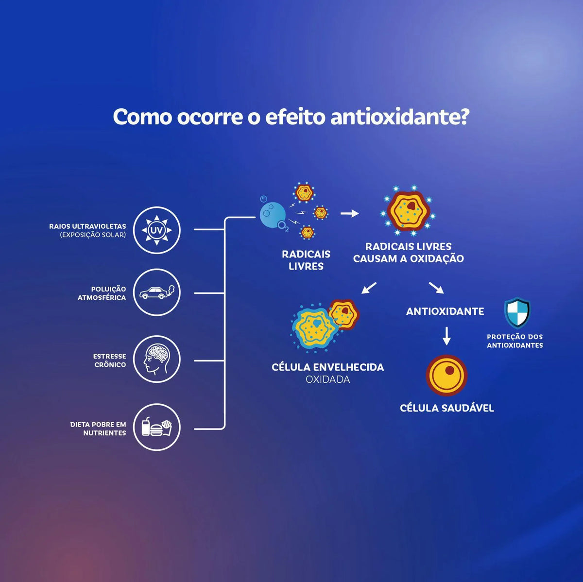 Coenzima Q-10 bwell 200mg + Vitamina E 10mg 60 cápsulas